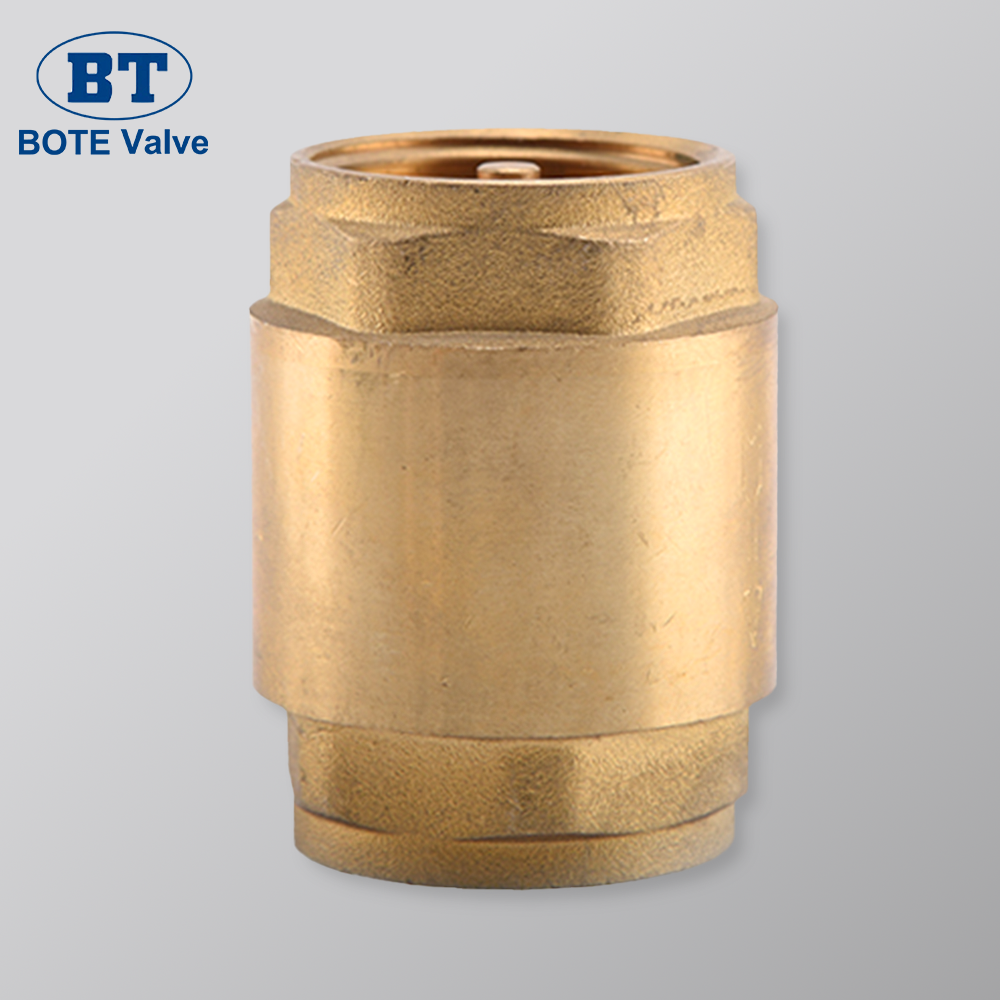 1 2 Check Valve For Reliable Backflow Prevention BOTE Valves 1-2-check-valve-for-reliable-backflow-prevention-bote-valves